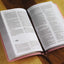 NIV, Premium Gift Bible, Leathersoft, Pink/Brown, Red Letter, Comfort Print: The Perfect Bible for Any Gift-Giving Occasion