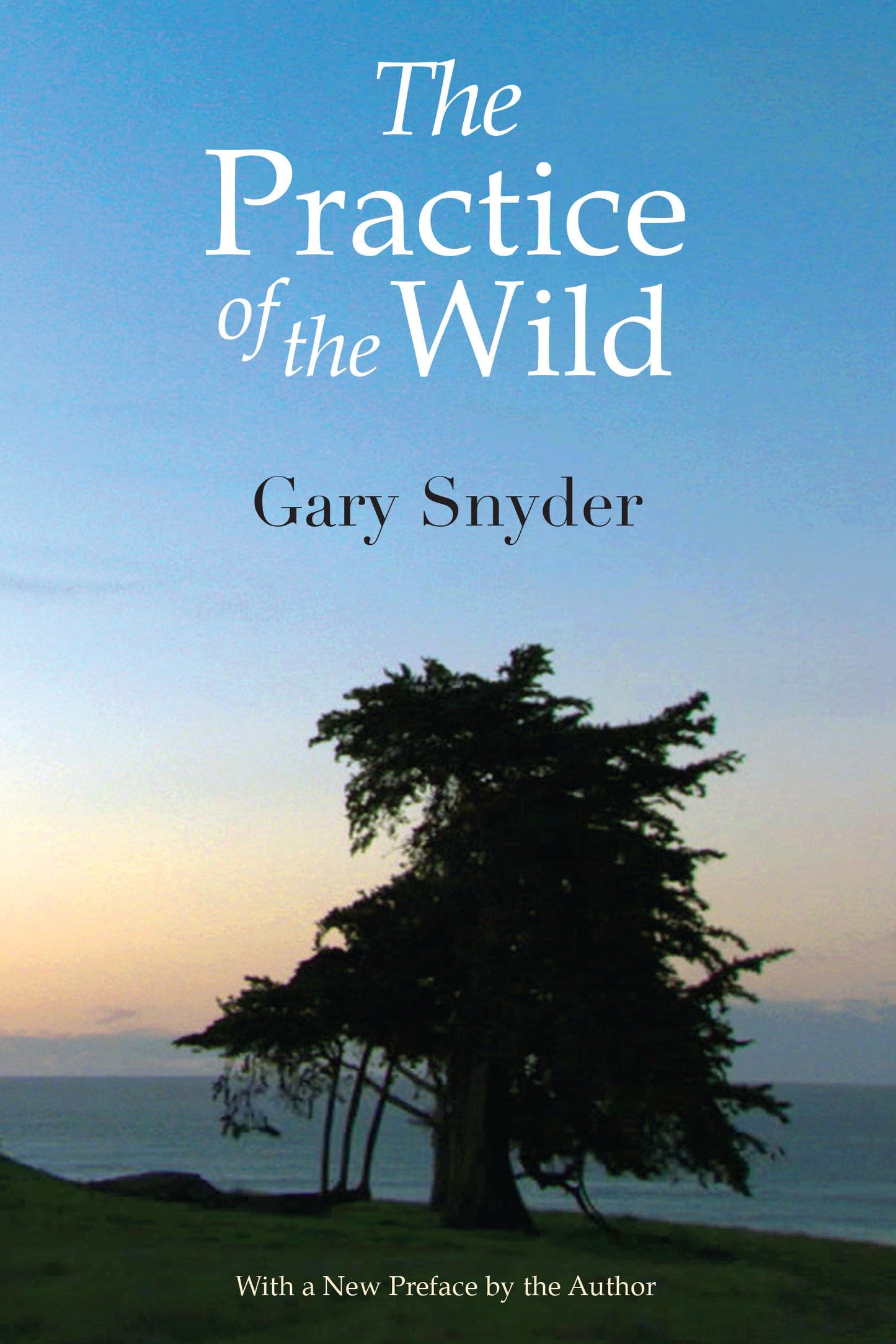 The Practice of the Wild: With a New Preface