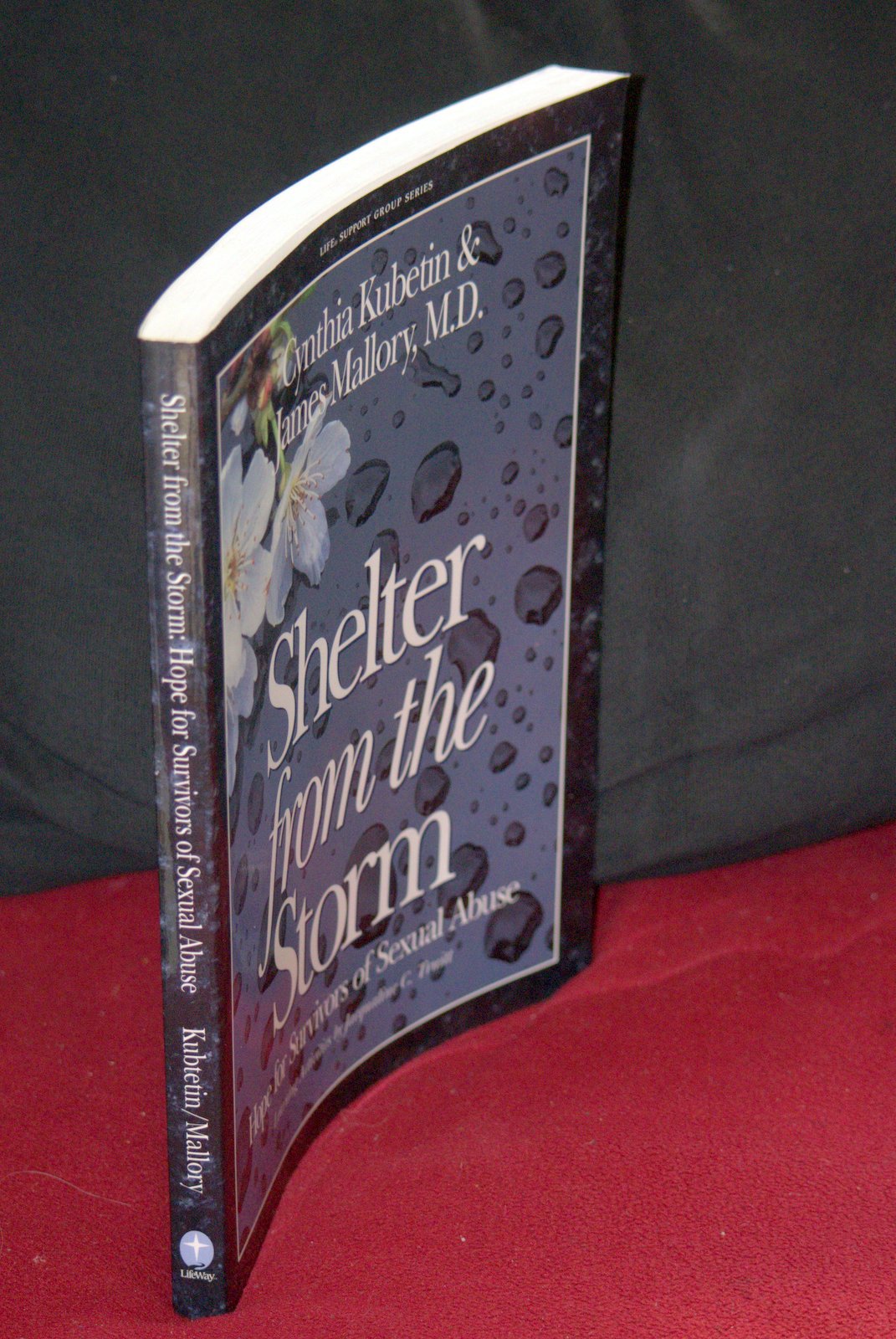 Shelter from the Storm: Hope for Survivors of Sexual Abuse (Life Support Group Series)