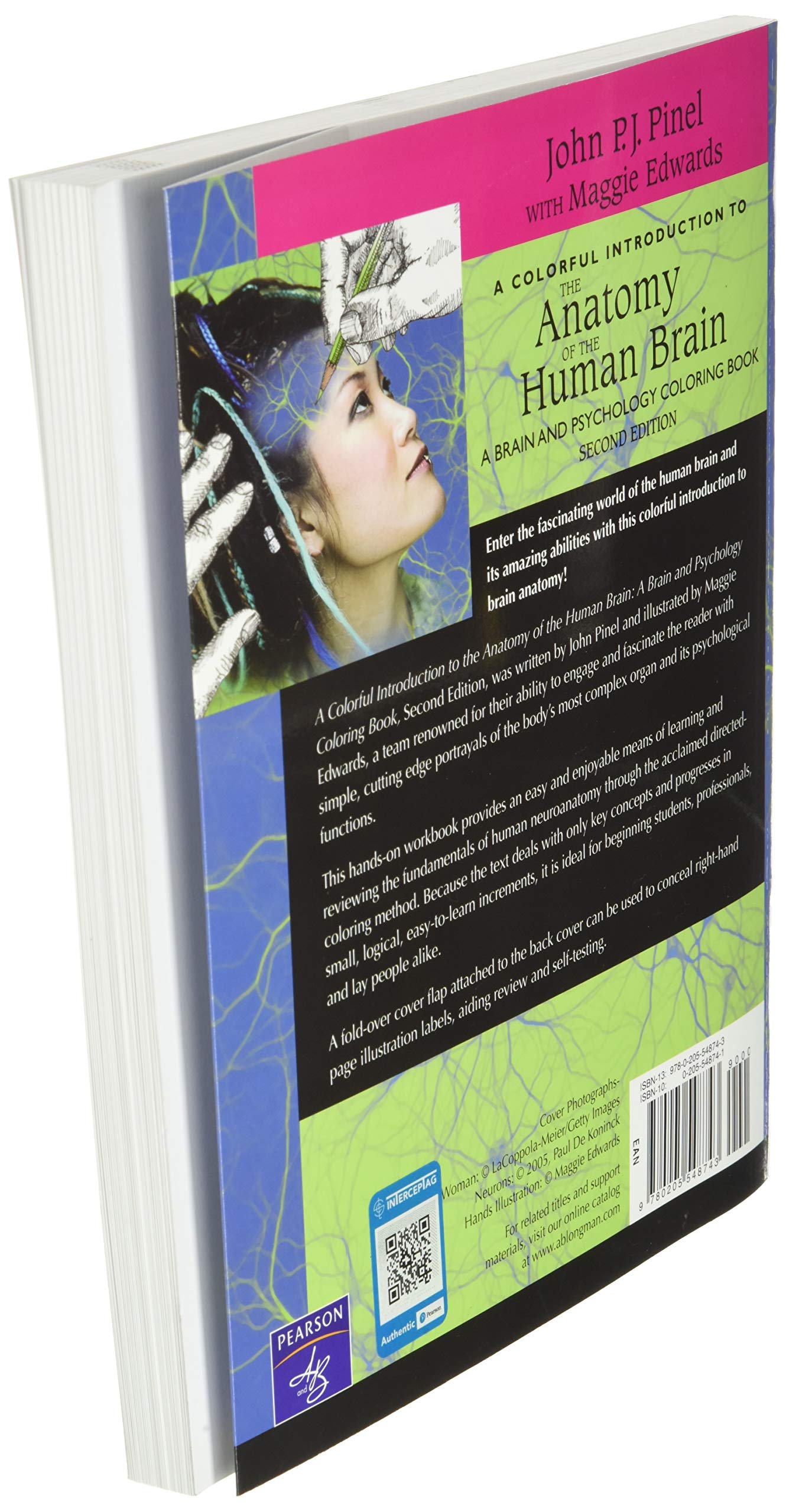 Colorful Introduction to the Anatomy of the Human Brain, A