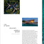 Wish I Was Here: The World's Most Extraordinary Places on and Beyond the Seashore (World's Most Beautiful Places)
