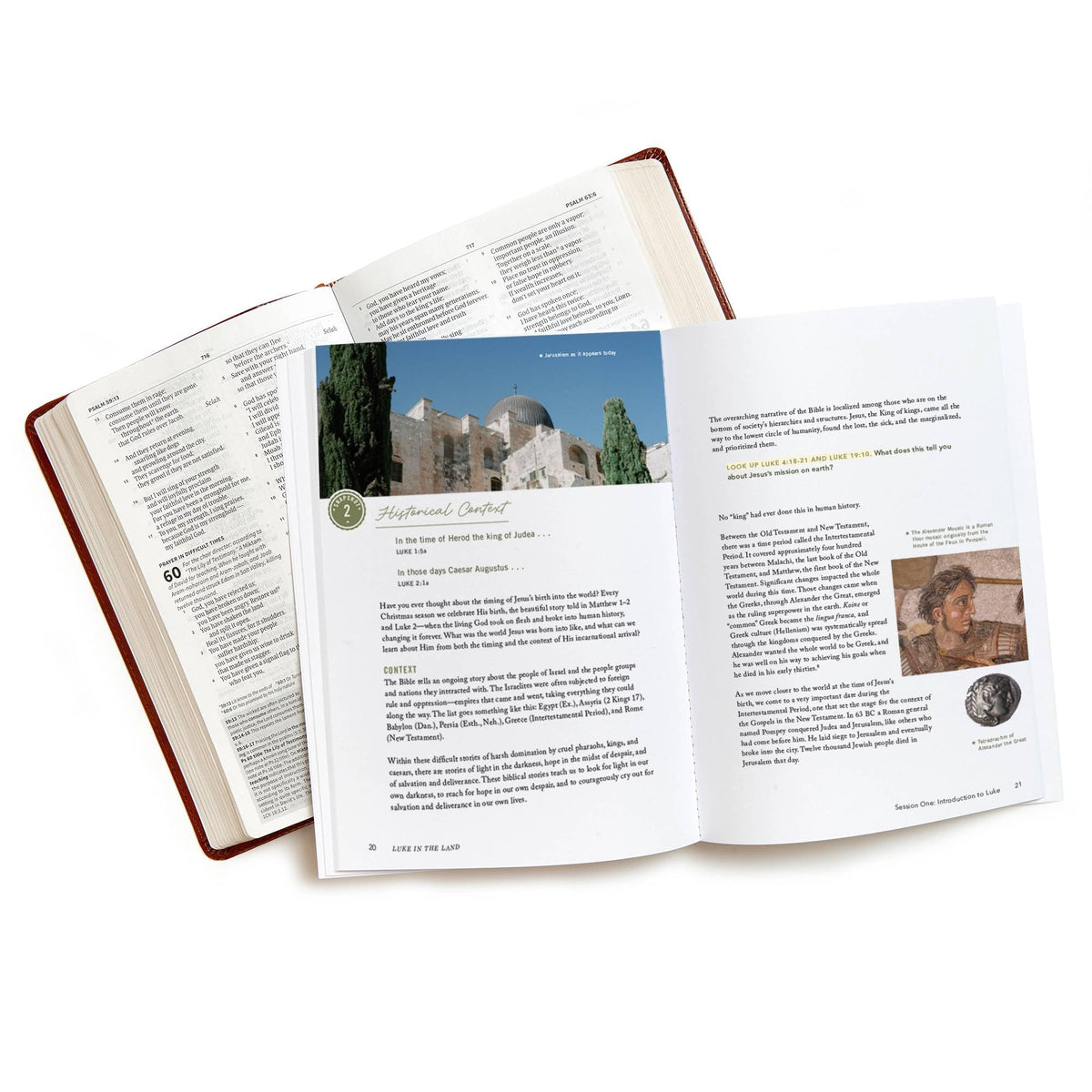 Luke in the Land - Bible Study for Women with Video Access: Walking with Jesus in His First-Century World
