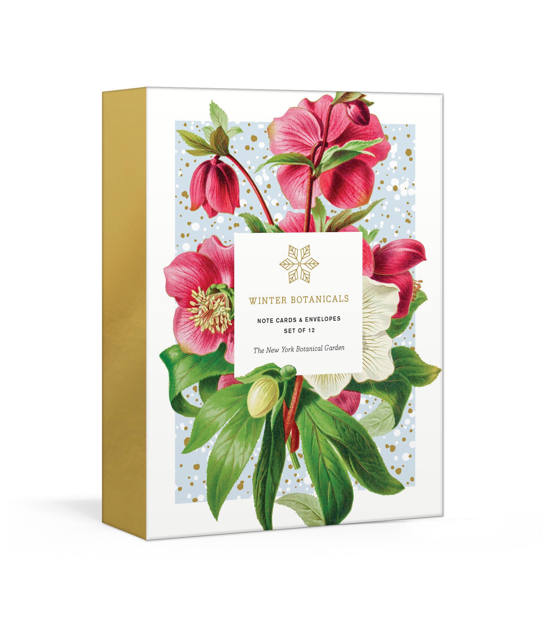 Winter Botanicals: Note Cards and Envelopes: Set of 12 (New York Botanical Garden)