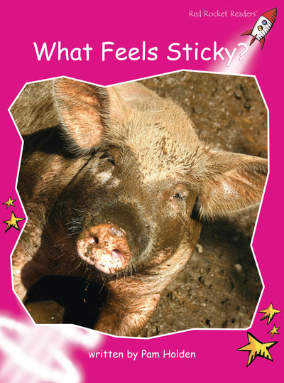 What Feels Sticky?: Emergent (Red Rocket Readers: Emergent Level: Magenta)