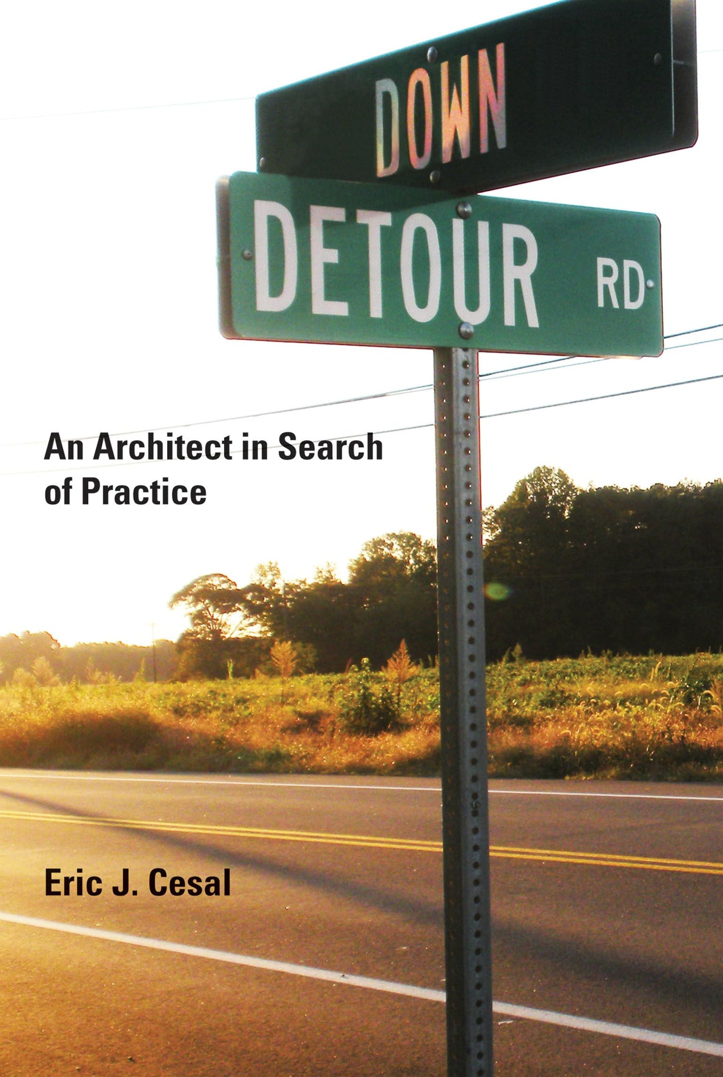 Down Detour Road: An Architect in Search of Practice (Mit Press)