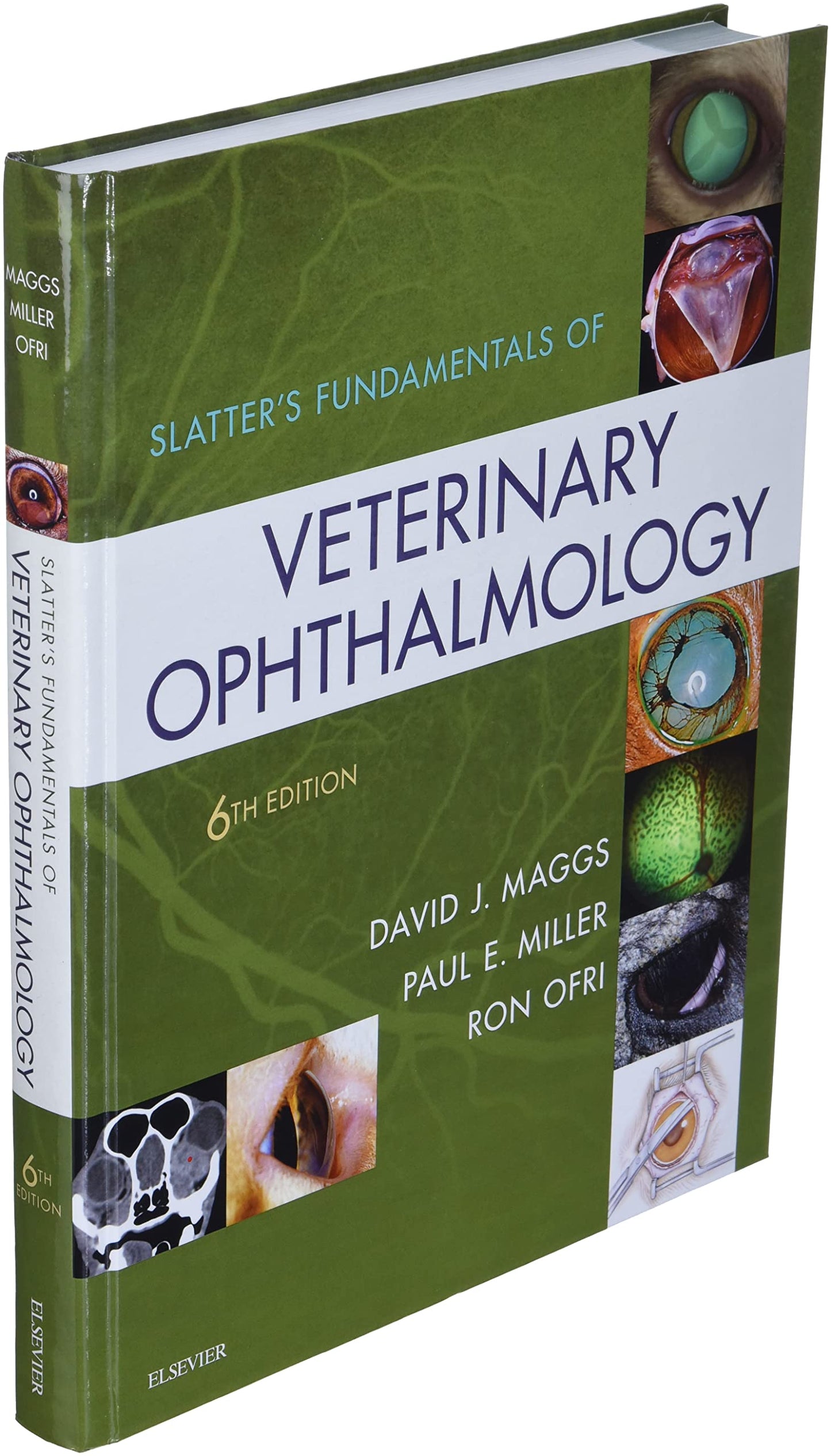 Slatter's Fundamentals of Veterinary Ophthalmology by Maggs