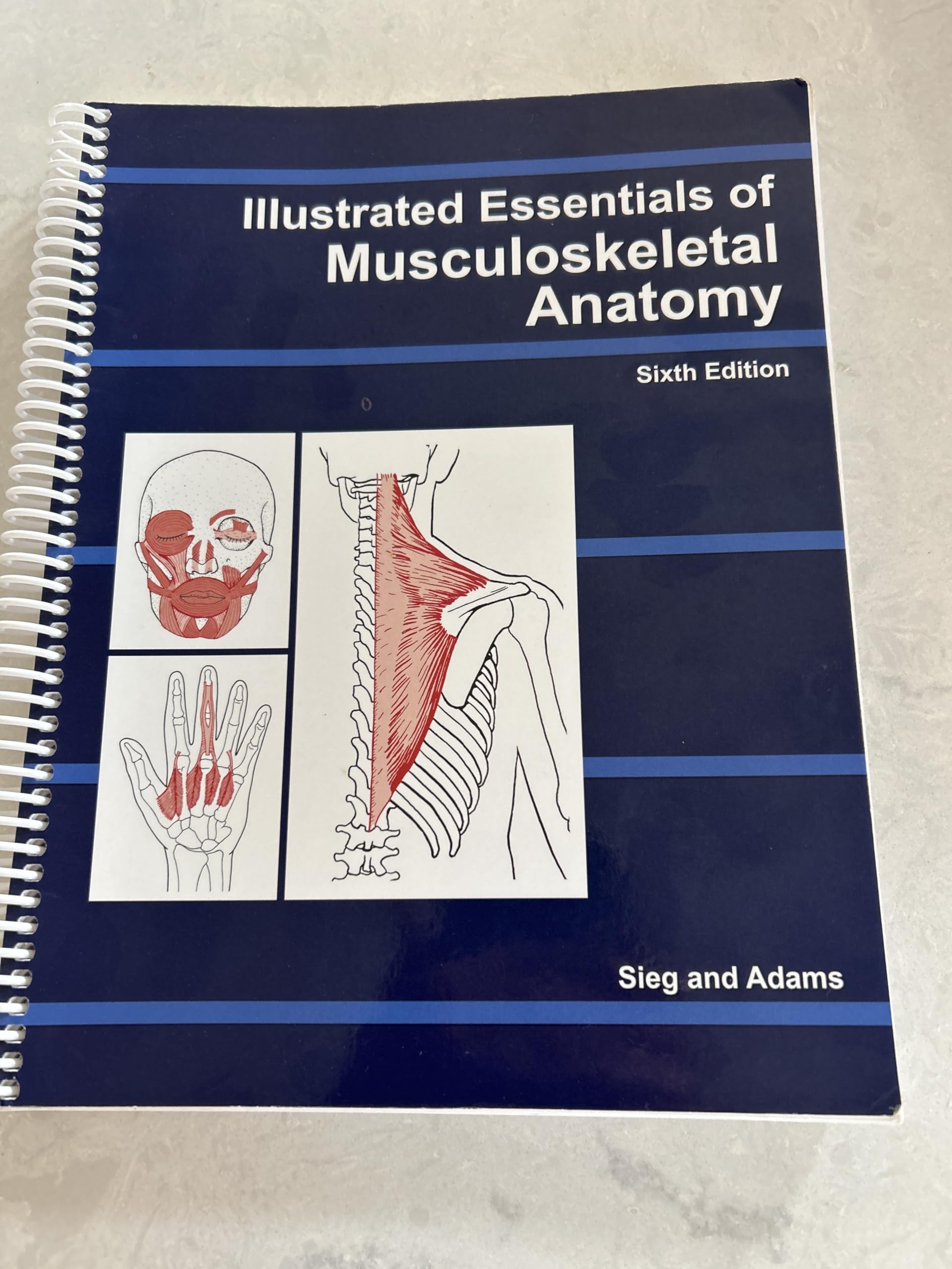 Illustated Essentials of Musculoskeletal Anatomy