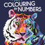 The Joy of Colouring by Numbers by French, Felicity