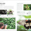 The Beginner's Photography Guide: The Ultimate Step-by-Step