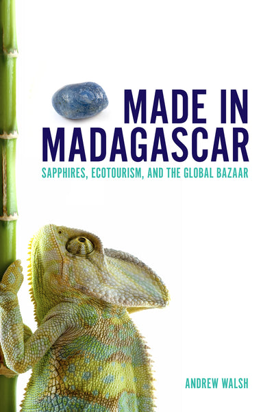 Made in Madagascar: Sapphires, Ecotourism, and the Global Bazaar (Teaching Culture: UTP Ethnographies for the Classroom)