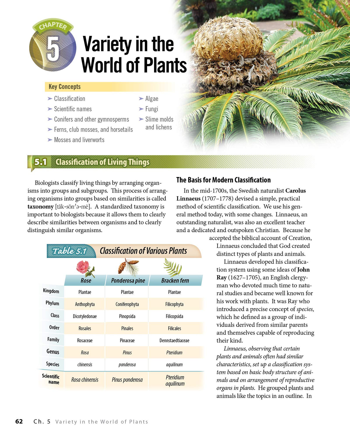 Biology: God's Living Creation