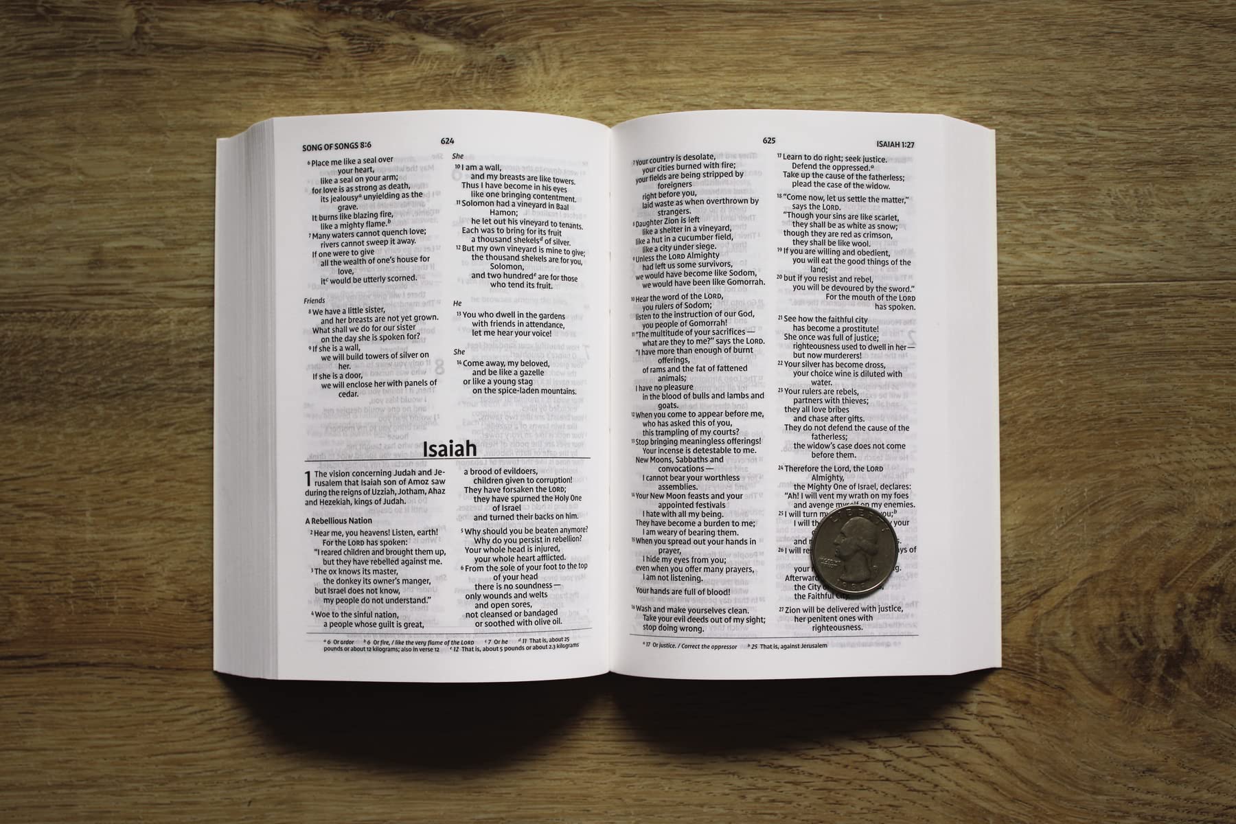 NIV, Holy Bible, Compact, Paperback, Military Camo, Comfort Print