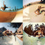 Locals Only: California Skateboarding 1975-1978