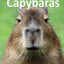 Capybaras (Elementary Explorers)