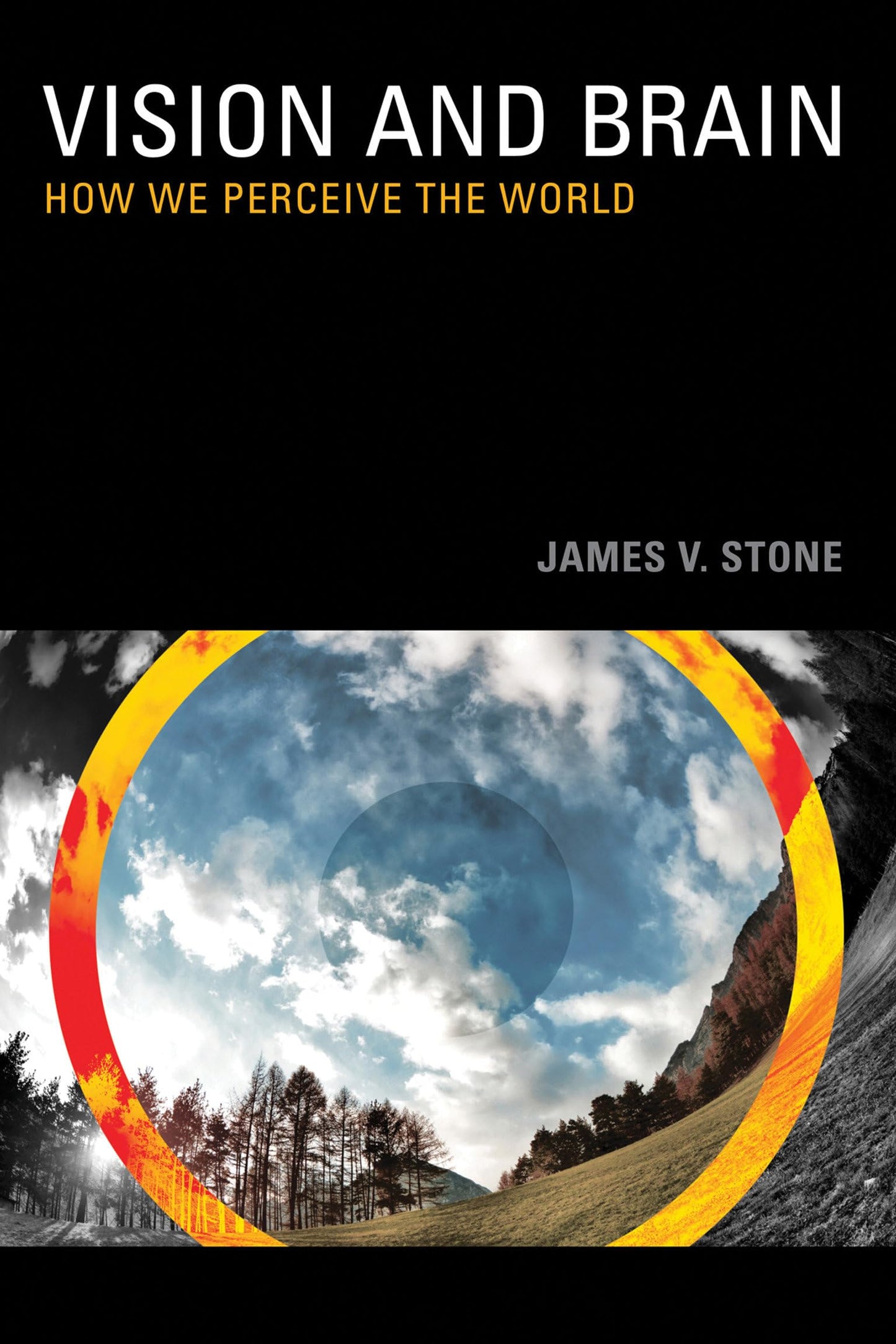 Vision and Brain: How We Perceive the World (Mit Press) by S