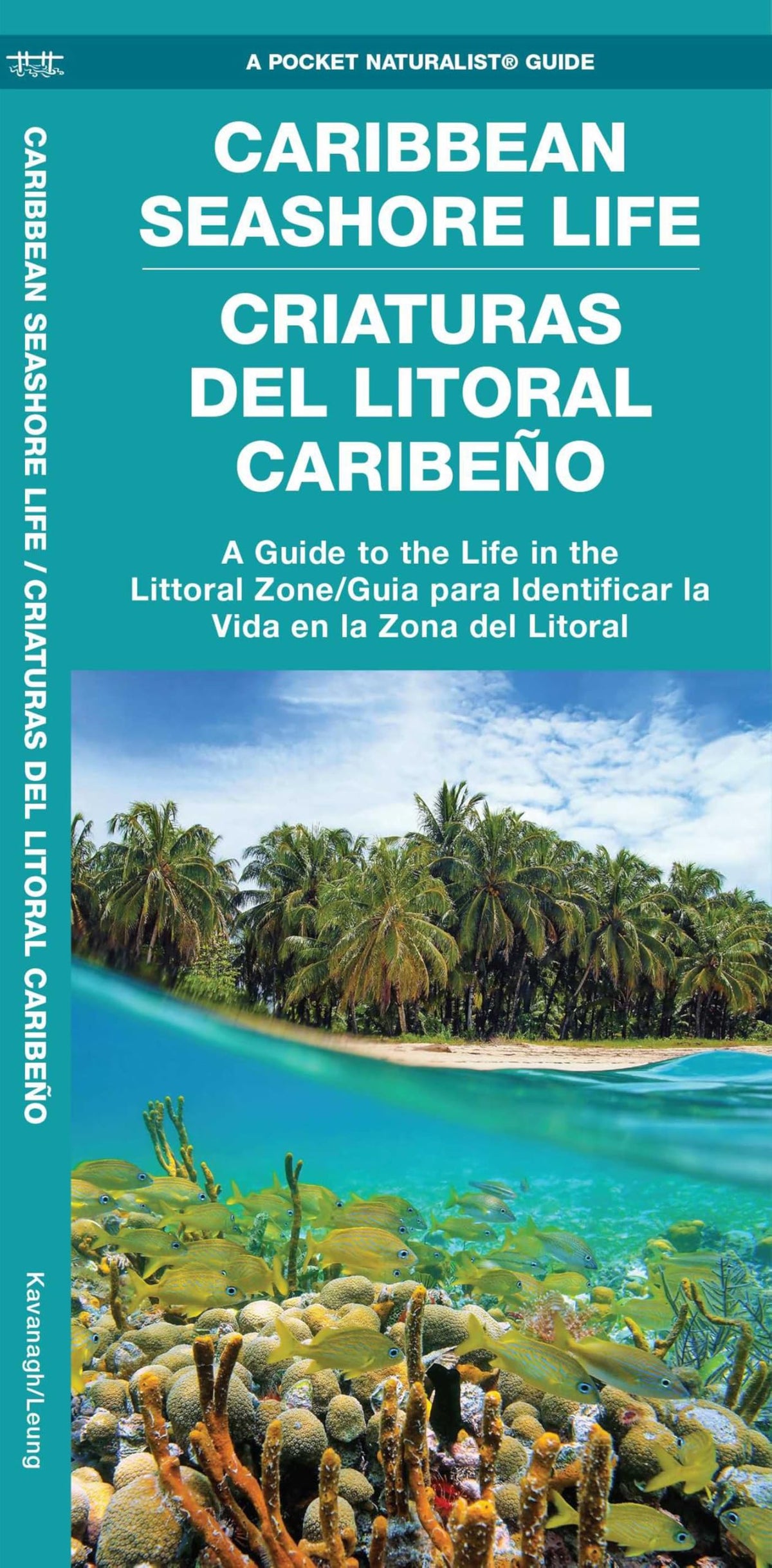 Caribbean Seashore Life / Criaturas Del Litoral Caribeo: A Guide to the Life in the Littoral Zone/Guia para Identificar la Vida en la Zona Del Litoral (Nature Observation International)