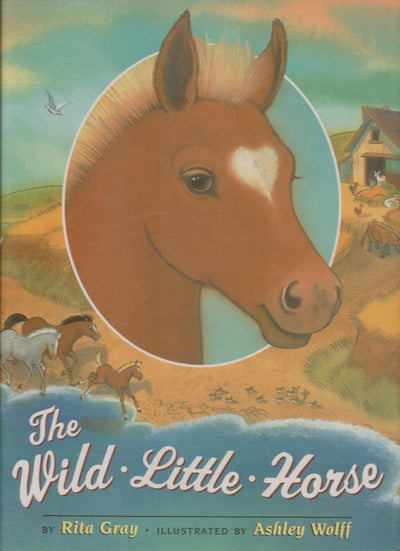 The Wild Little Horse