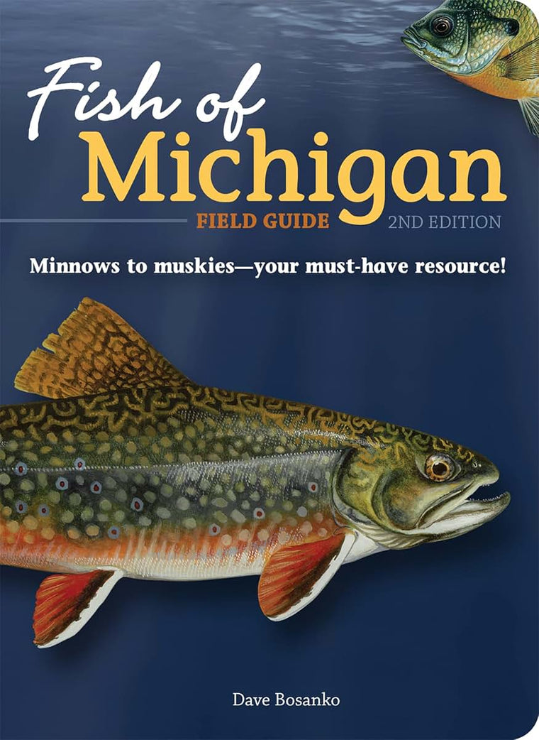 Fish of Michigan Field Guide (Fish Identification Guides)