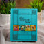 The Jesus Storybook Bible Gift Edition: Every Story Whispers His Name (The Story of Gods Great Love)