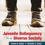 Juvenile Delinquency in a Diverse Society