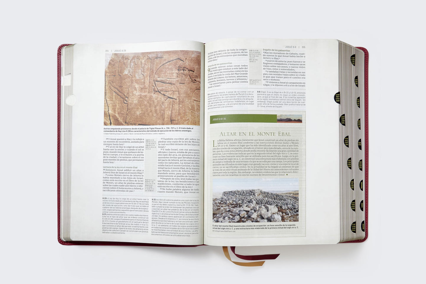 RVR, Biblia de estudio trasfondo cultural (El contexto lo cambia todo), Leathersoft, Rojo vino, Interior a color, con ndice, Comfort Print: Explora el mundo antiguo de la Escritura (Spanish Edition)