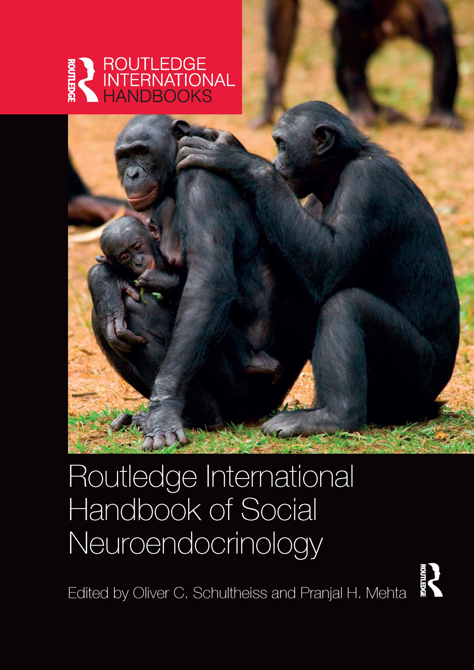 Routledge International Handbook of Social Neuroendocrinology (Routledge International Handbooks)