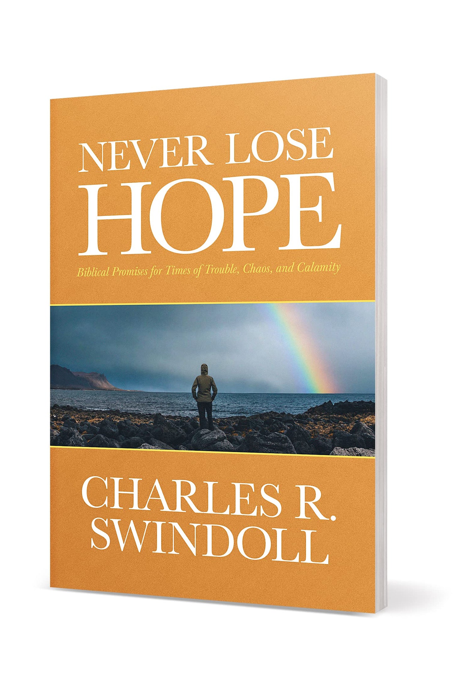 Never Lose Hope: Biblical Promises for Times of Trouble, Chaos, and Calamity