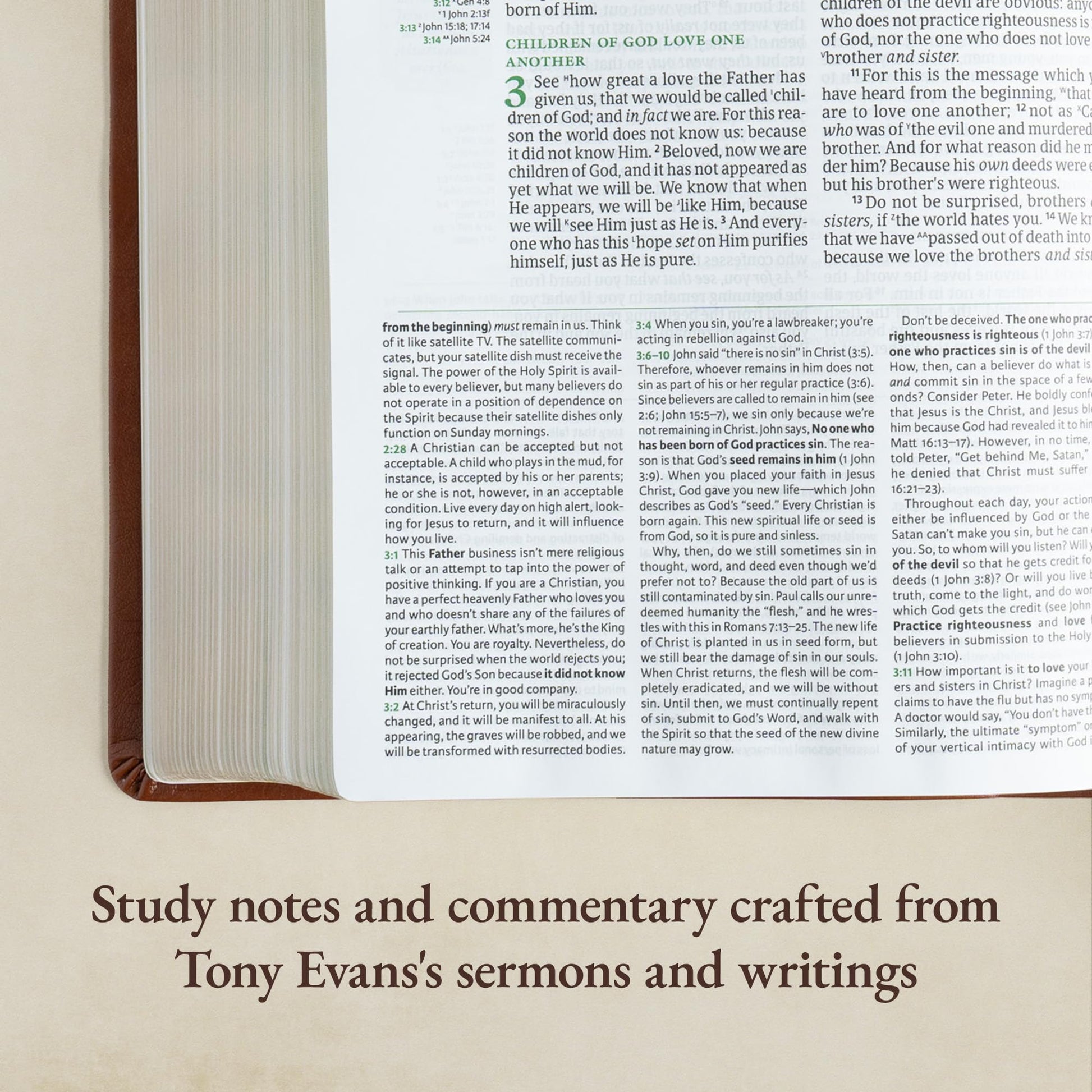 NASB Tony Evans Study Bible, Brown LeatherTouch, Black Letter, Study Notes and Commentary, Articles, Videos, Charts, Easy-to-Read Bible Karmnina Type