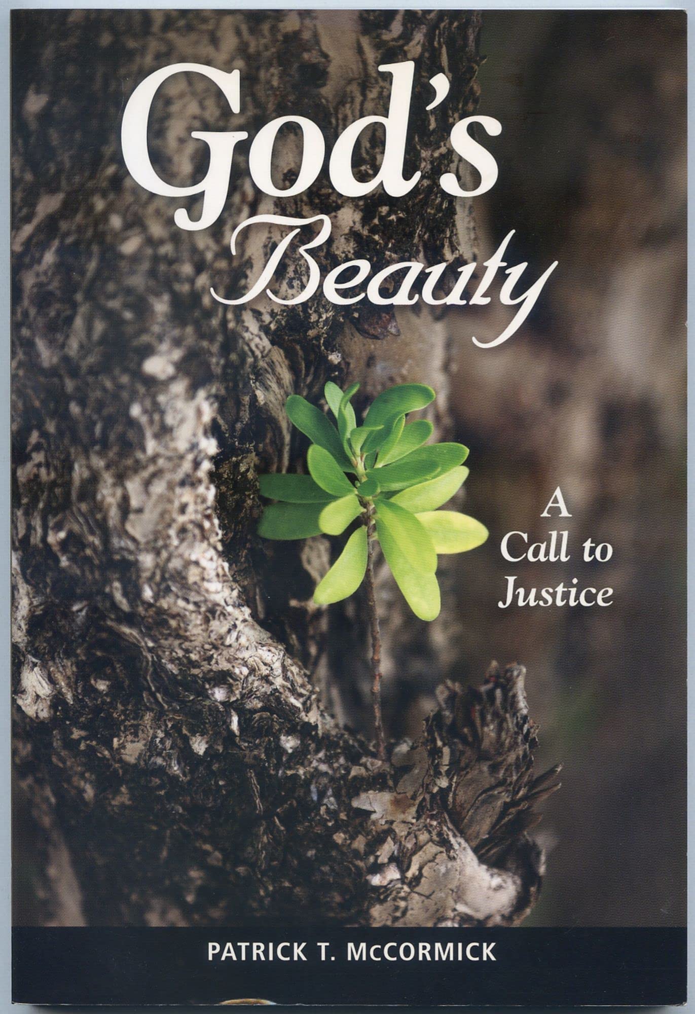 God's Beauty: A Call to Justice