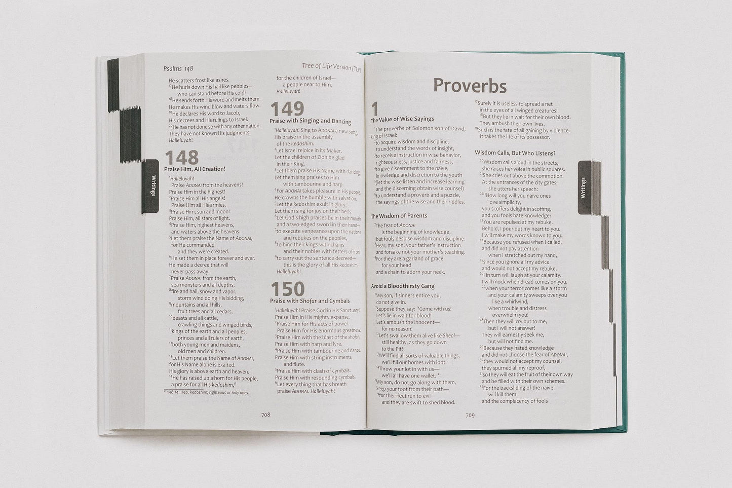 TLV Holy Scriptures: Thinline Edition (Hardback)