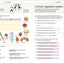 How to Be Good at Science, Technology and Engineering Workbook, Grade 6-8