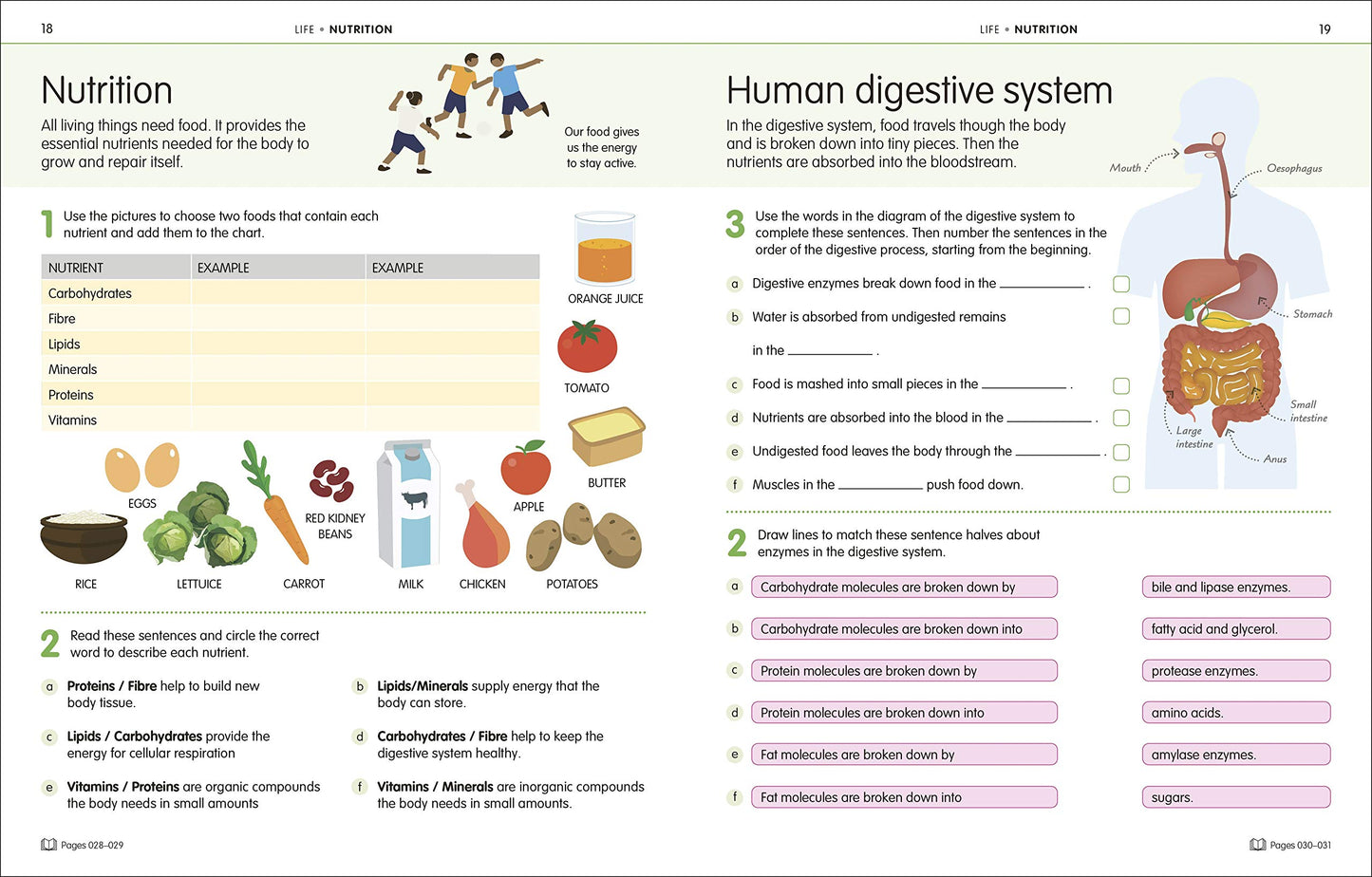 How to Be Good at Science, Technology and Engineering Workbook, Grade 6-8