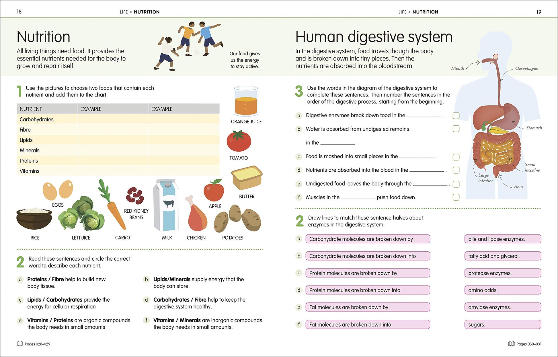How to Be Good at Science, Technology and Engineering Workbook, Grade 6-8