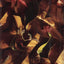 September by Pilcher, Rosamunde