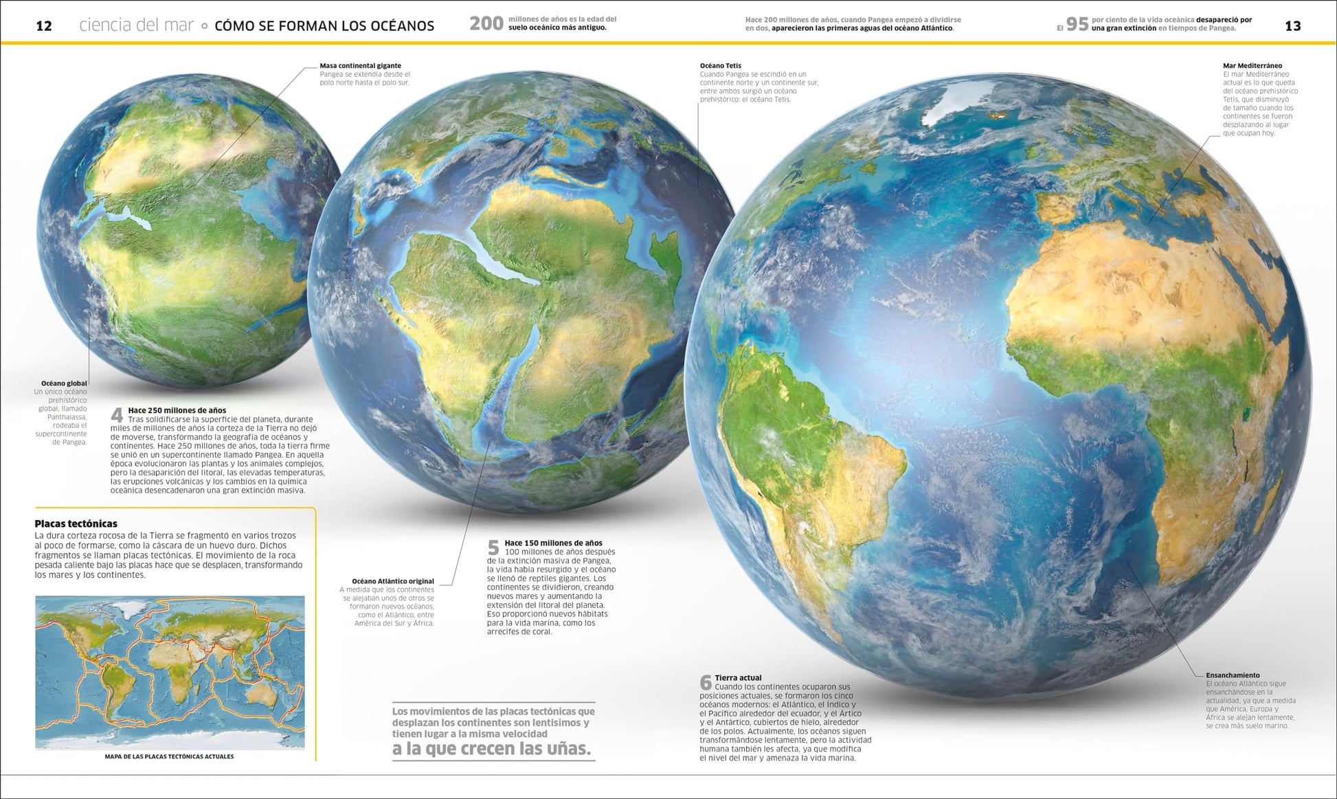 Ocanos (Knowledge Encyclopedia Ocean!): El planeta bajo el agua como nunca antes lo habas visto (Spanish Edition)