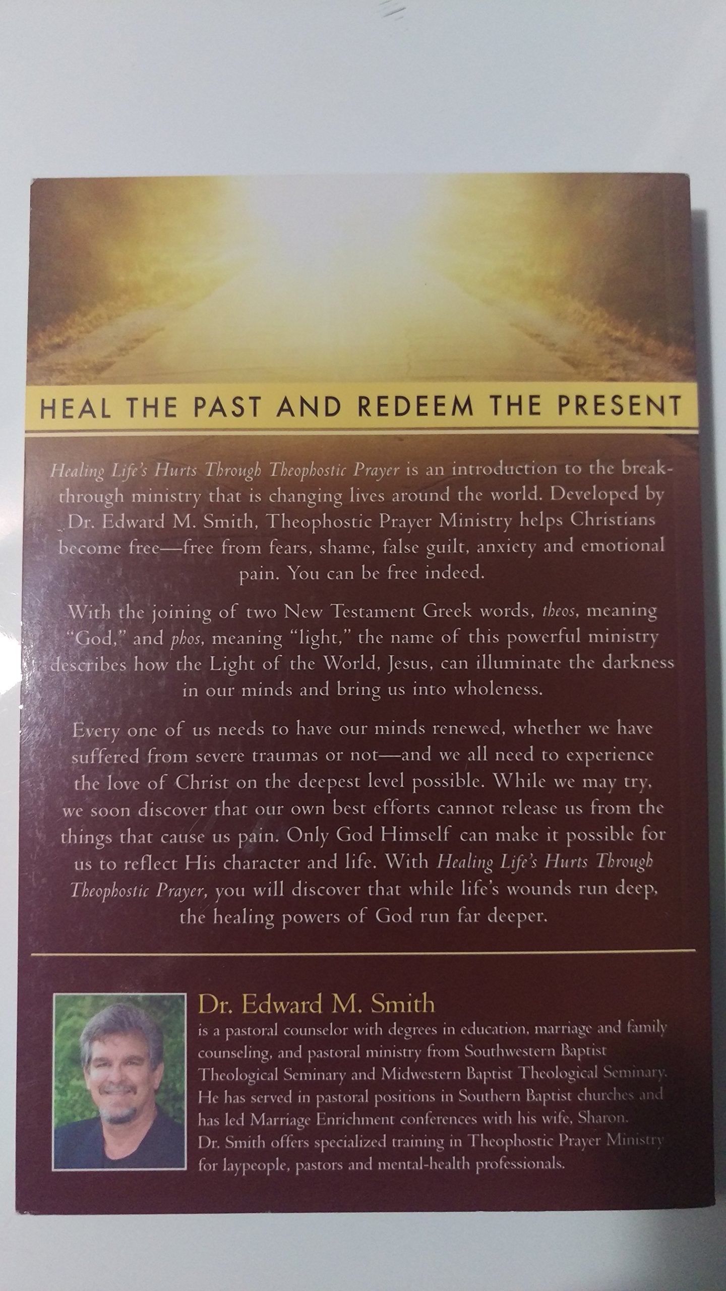 Healing Life's Hurts Through Theophostic Prayer: Let The Light Of Christ Set You Free From Lifelong Fears, Shame, False Guilt, Anxiety And Emotional Pain