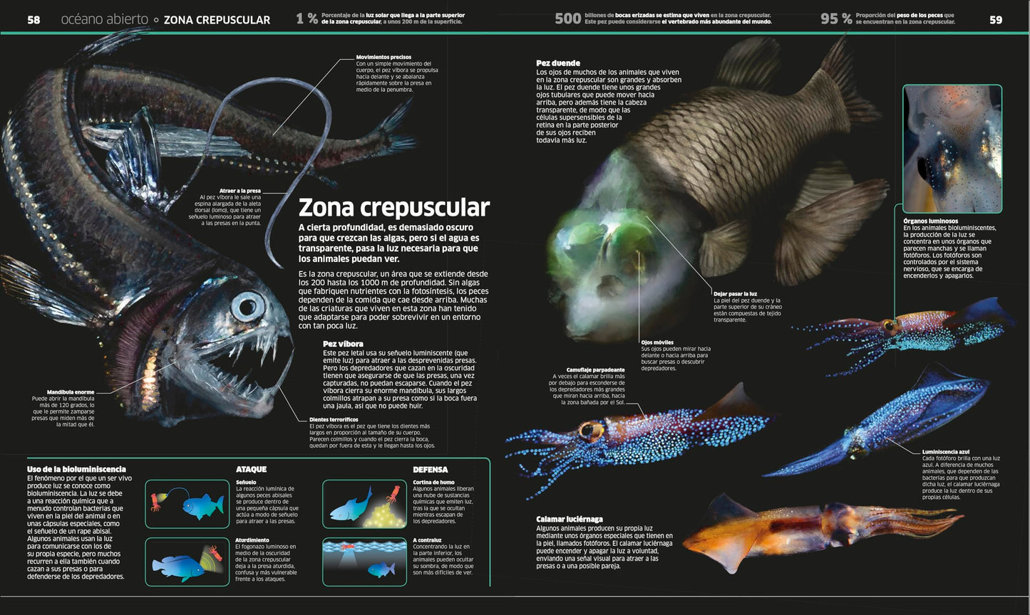 Ocanos (Knowledge Encyclopedia Ocean!): El planeta bajo el agua como nunca antes lo habas visto (Spanish Edition)