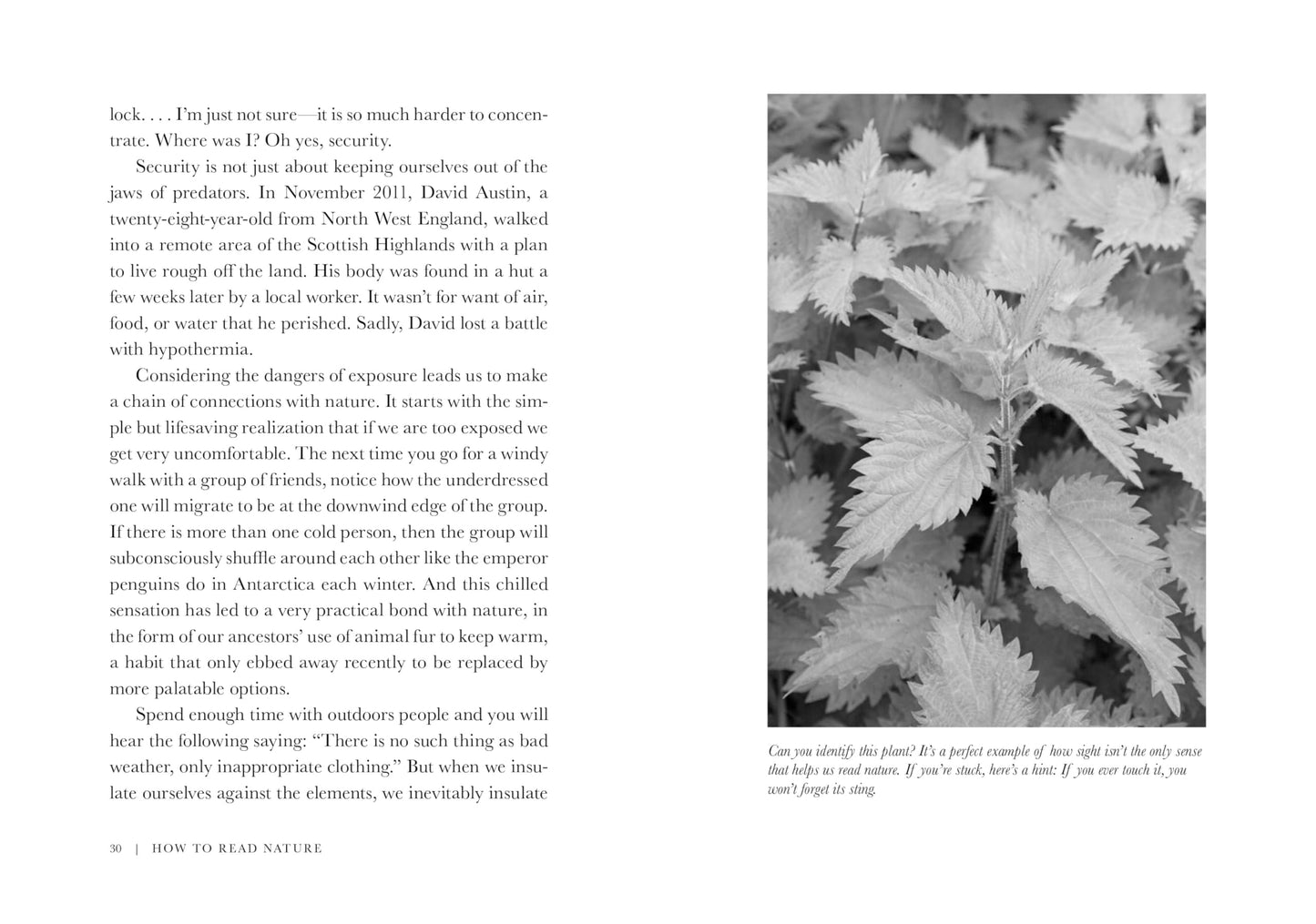 How to Read Nature: Awaken Your Senses to the Outdoors