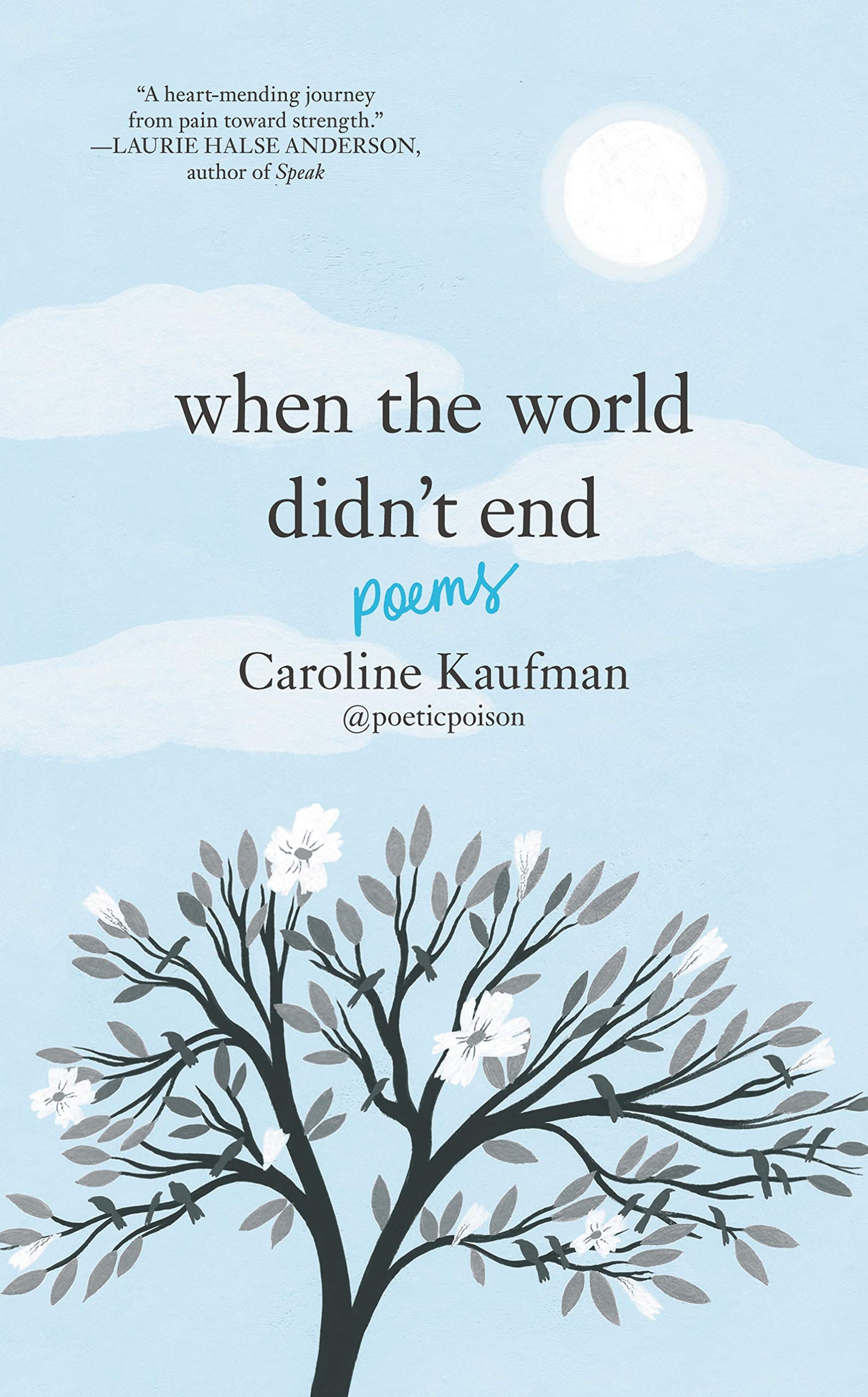 When the World Didnt End: Poems