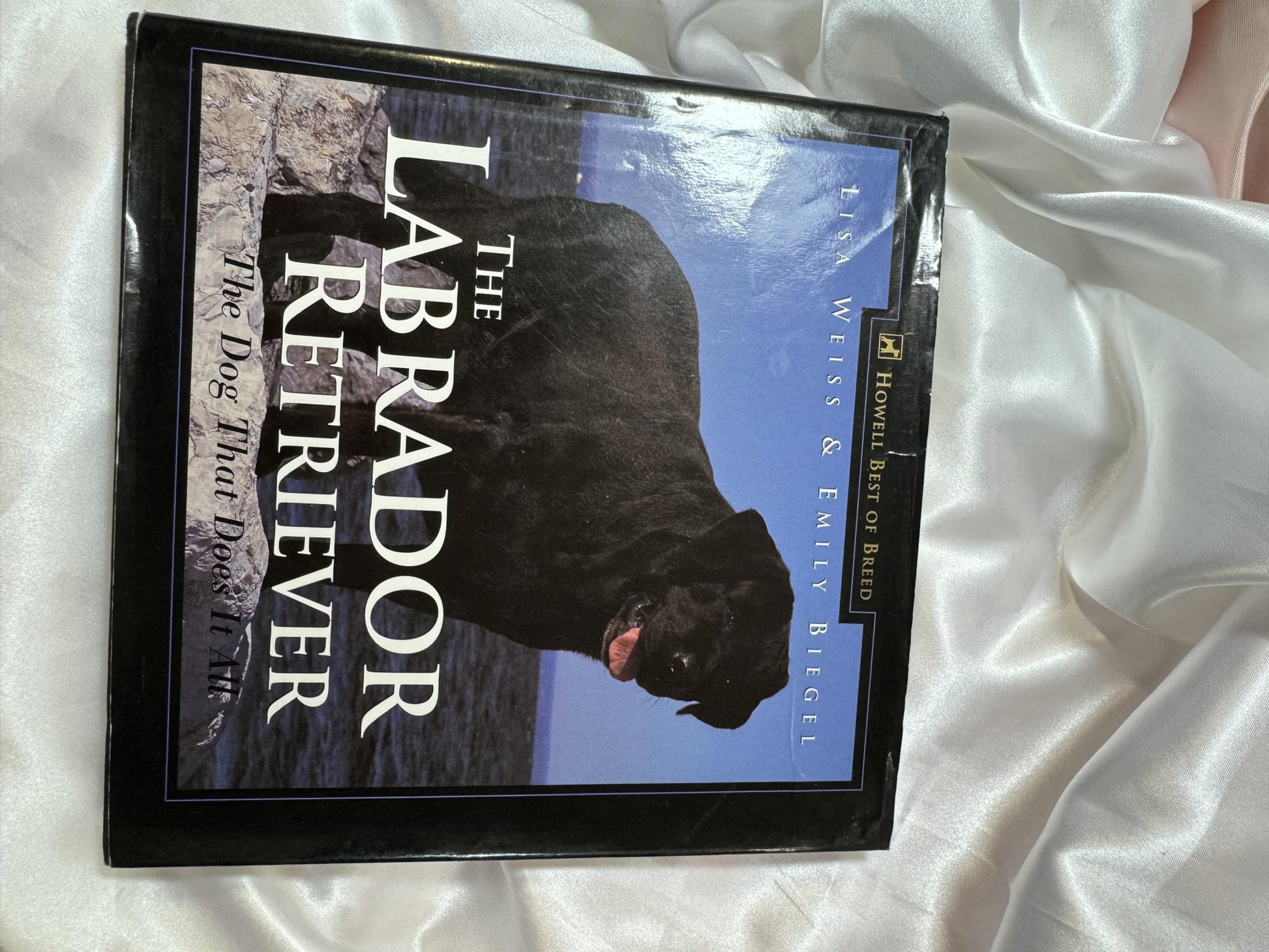 The Labrador Retriever: The Dog That Does It All