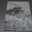 Assassin's Creed III - The Complete Official Guide - Collector's Edition
