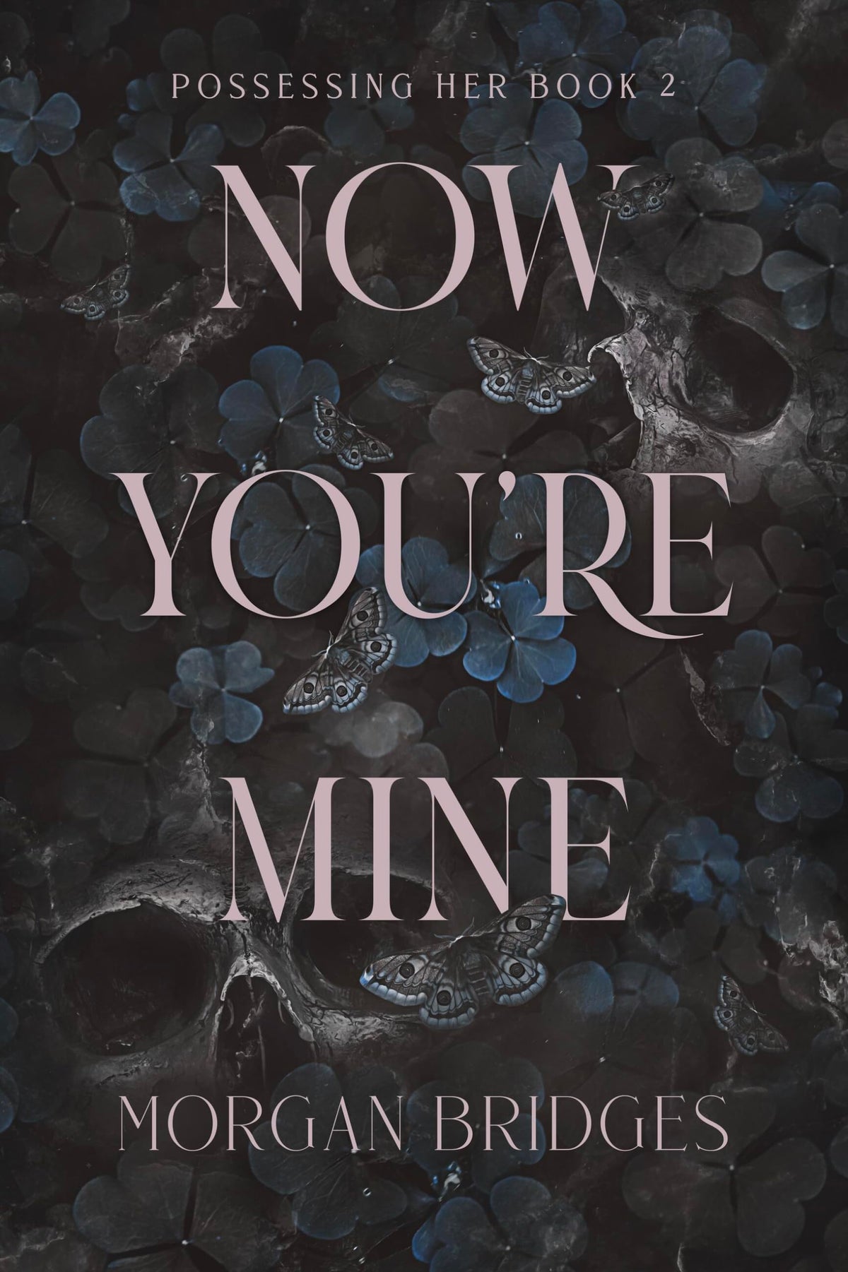 Now You're Mine: A Dark Stalker Romance (Possessing Her)