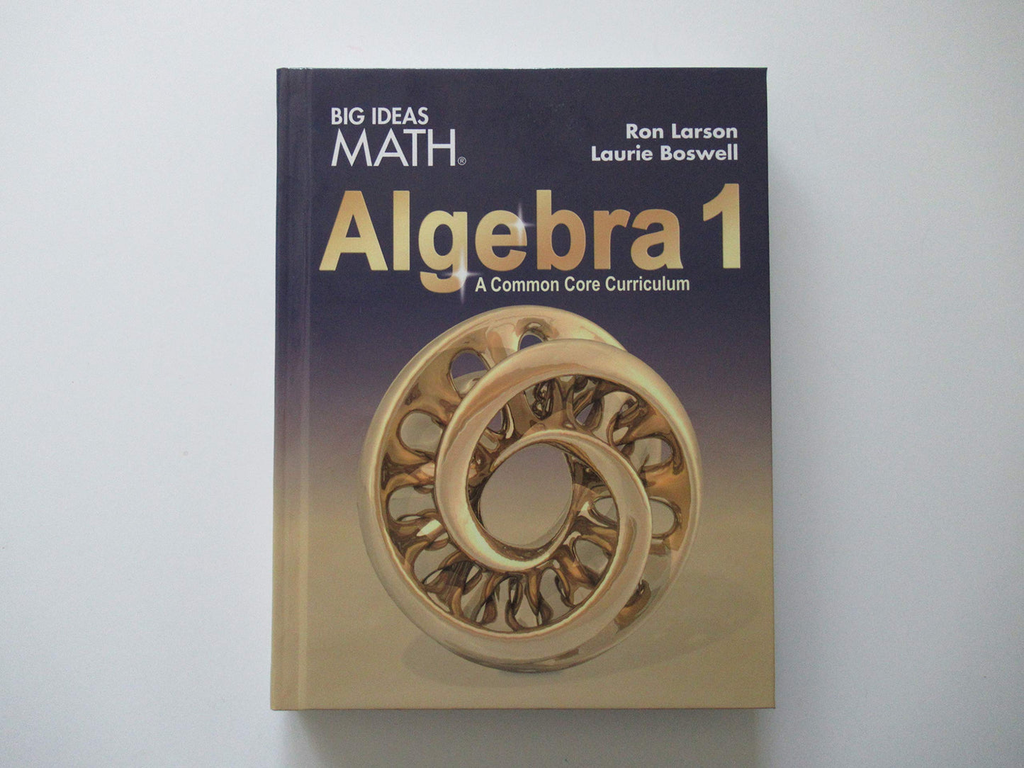 BIG IDEAS MATH Algebra 1: Common Core Student Edition 2015