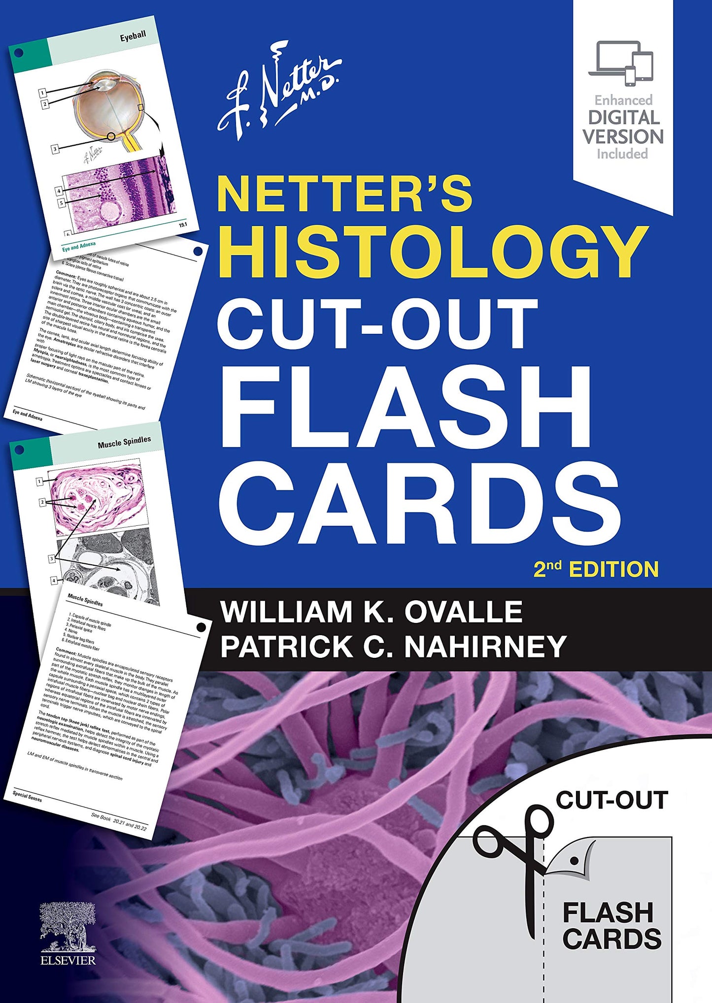 Netters Histology Cut-Out Flash Cards: A companion to Netter's Essential Histology (Netter Basic Science)