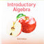 Introductory Algebra
