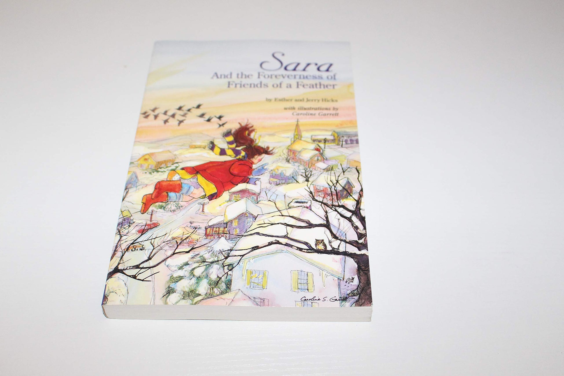 Sara and the Foreverness of Friends of a Feather