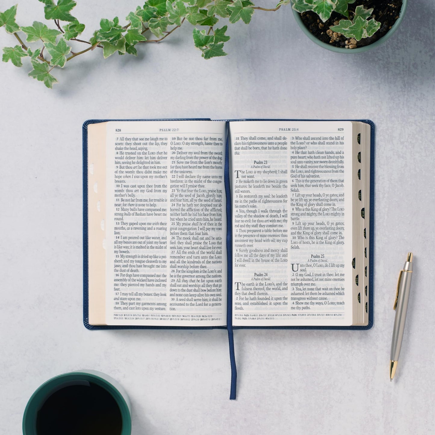 KJV Holy Bible, Giant Print Standard Size Faux Leather Red Letter Edition - Ribbon Marker, King James Version, Dark Blue (KJV Standard GP Editions)