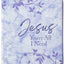 Jesus Youre All I Need ziparound devotional