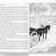 Illustrated Classics - Black Beauty: Abridged Novels With Review Questions