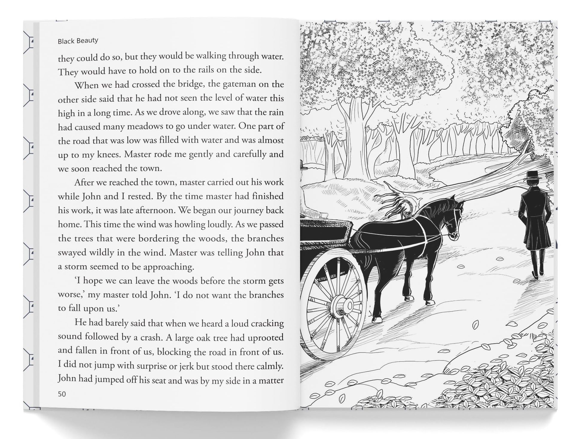 Illustrated Classics - Black Beauty: Abridged Novels With Review Questions